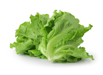 fresh green lettuce salad leaves isolated on white background, clipping path, full depth of field
