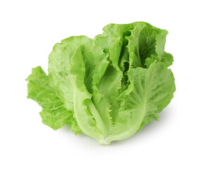 fresh green lettuce salad leaves isolated on white background, clipping path, full depth of field