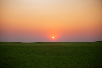 A round sun setting over a green field in a sunset agricultural summer landscape
