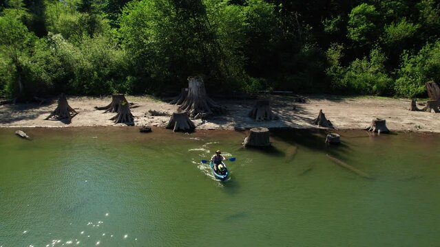 Man with Dog Wearing Life Jacket Kayaking Beautiful Lake with Tree Stumps