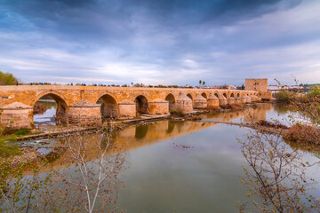 Fototapeta premium The Roman Bridge and the Calahorra Tower in Cordoba, Spain