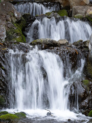 Fototapeta premium 日本庭園の滝