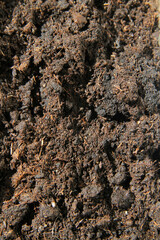 Soil close-up. Black earth in the sun. The rays of the sun illuminate the garden