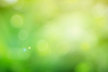 Fototapeta na wymiar Natural spring blurred green leaves background. Create light soft blurred colors in bright sunshine.