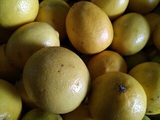 Citrus fruits on display in supermarket
