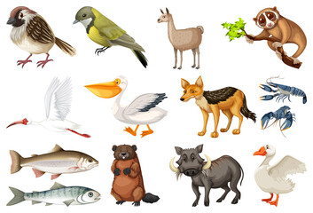 Fototapeta premium Different kinds of animals collection
