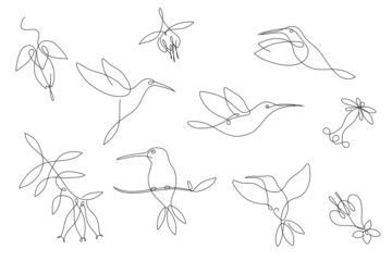 Set of hummingbird designs with flowers in one continuous line for logo and graphic design. Small beautiful shearling bird. isolated on white background. Vector illustration