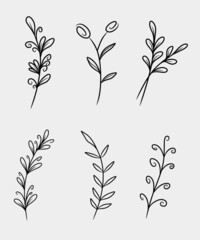 Flower branches. For hand-drawn weddings, homeplant with elegant leaves for invitations, date card designs