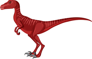 Velociraptor dinosaur on white background