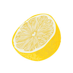 realistic lemon design
