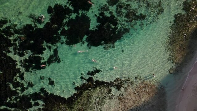 people swimming in clear blue water in ocean lagoon Margaret River region