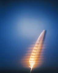 Feather with light streaks against a blue background