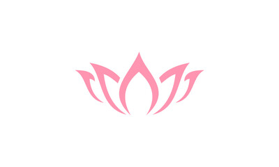 pink lotus flower