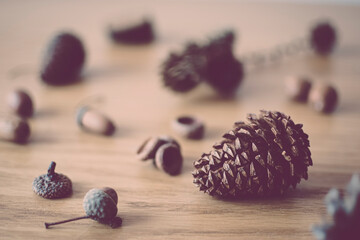 Dried cones and acorns on a table. Tree seed closeup on wooden surface. Organic objects in dark brown color. Selective focus on the details, blurred background.