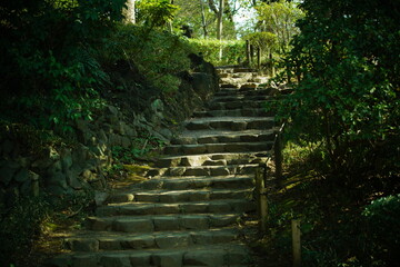 公園に咲く花と植物