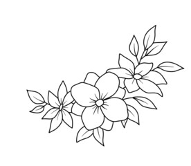 Floral border with peonies flowers and leaves in line style. Vector line wildflowers. Floral bouquet isolated on white