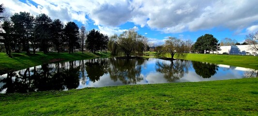 landscape with lake and trees