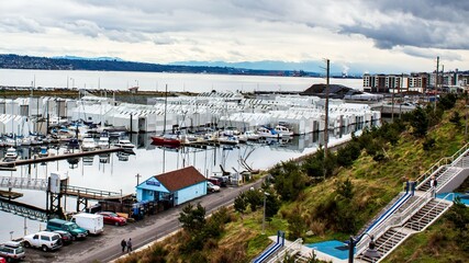 boats in the harbour
