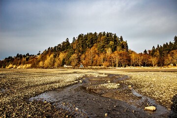 autumn landscape in the mountains