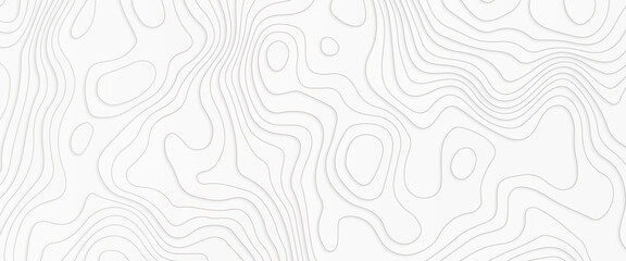 White gray topographic line contour map background, geographic grid map,  White wave paper curved reliefs abstract background, topographic line contour map background, 3D waves, vector illustration.