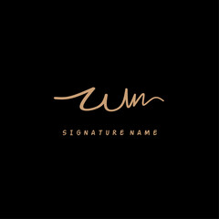 Fototapeta na wymiar WN initial letter handwriting and signature logo