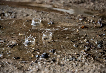 raindrops fall on brown sand and create magical shapes 