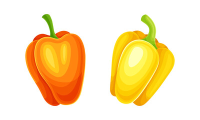 Yellow and orange fresh ripe pepper bell vegetable set vector illustration
