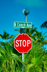Street sign with palms in the background, Conch Key, Florida.