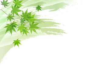 新緑　もみじ　葉　背景