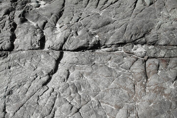 Sea rock top view. stone texture and a gray rock background. Natural Limestone. 