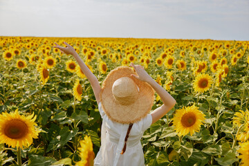 woman in hat holds her hands above her head field of sunflowers landscape