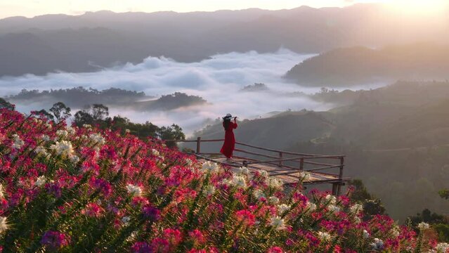View point of the sea of mist and flower garden in Mae Sot District, Tak Province, Thailand.
