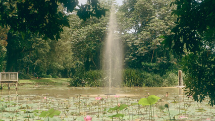 water fountain in the park