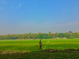 person walking in the field
