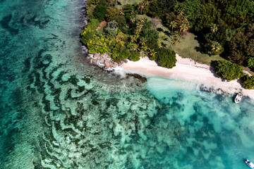 a tropical island with a snow-white beach and a turquoise sea in the Dominican Republic filmed from a drone 