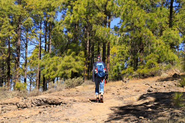 Obraz premium Hiking on the circular hiking trail 