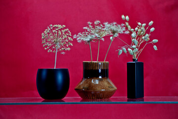 Different types of dried plants are placed in three different pots