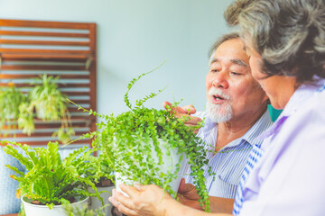 Obraz premium Happy asian elderly couple smiling health care and have a happy life after retirement stay home and plant trees in pots.