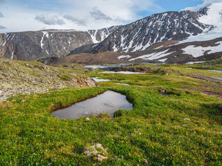 Green summer alpine meadow. Clear mountain pond on a green high-altitude plateau.  Mountain summer landscape with glacier and  small lakes.