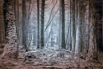 ein Winterwald