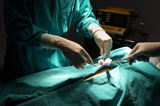Closeup image of professional concentrated surgical team hands performing an operation with patient in hospital operating room. Surgery concept.