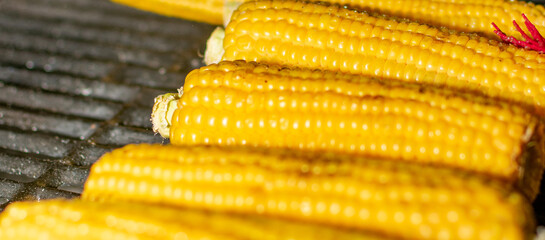 Elote amarillo.

elotes amarillos en el asador.

elotes cocinándose en el asador 