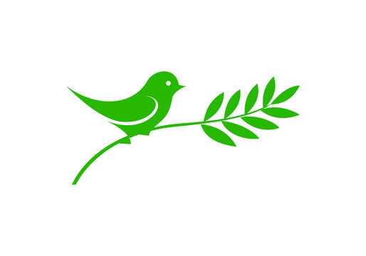 this is a creative bird logo design