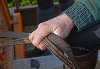 Hands and reins. At the Riding school. Horseriding. Horse.