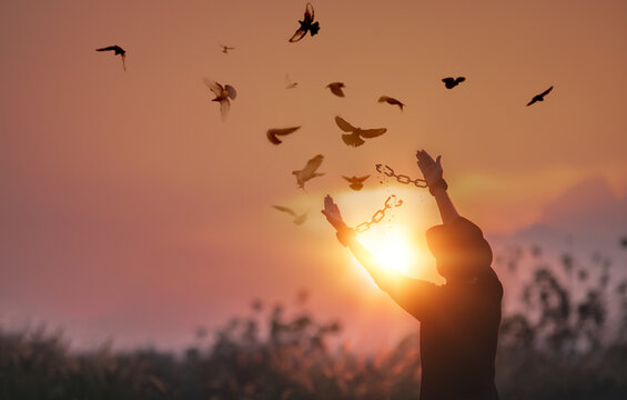 The man who broke the chains and set the birds free enjoys nature at sunrise. concept of freedom
