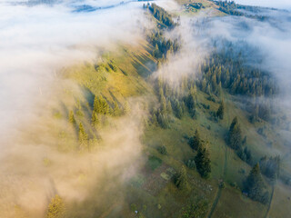 Fog envelops the mountain forest. The rays of the rising sun break through the fog. Aerial drone view.