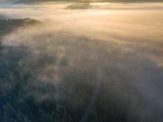 Fototapeta na wymiar Morning mist in Ukrainian Carpathian mountains. Aerial drone view.