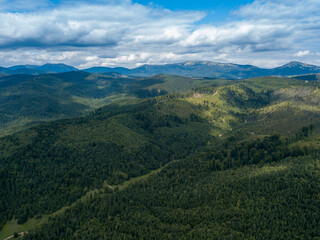 Obraz premium Green mountains of Ukrainian Carpathians in summer. Coniferous trees on the slopes. Aerial drone view.