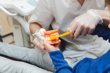 a male dentist shows a boy on a denture how to properly brush his teeth. the concept of children's...