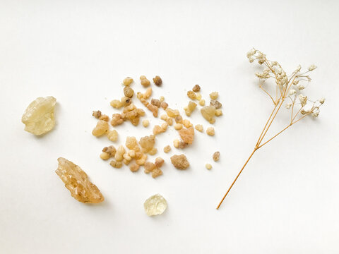 Set of natural resins and twigs of dried flowers , frankincense close-up on a white background	
